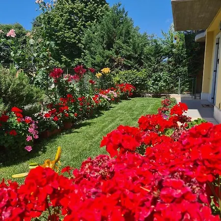 Проживание в семье Casa Andre Пескантина