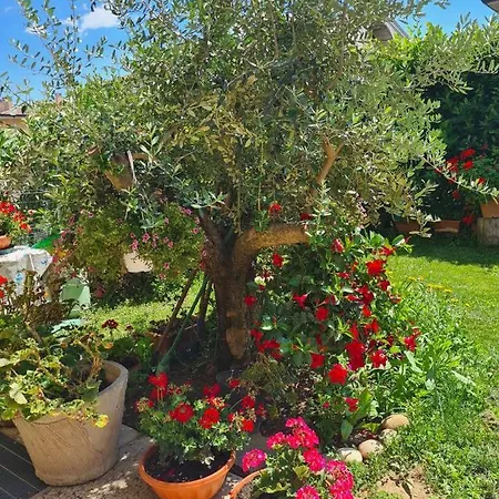 Проживание в семье Casa Andre