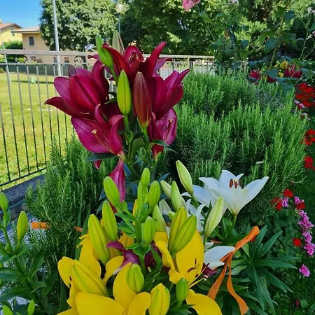 Casa Andre * بيسكانتينا