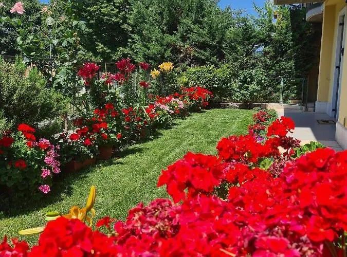 منزل للإقامة Casa Andre بيسكانتينا