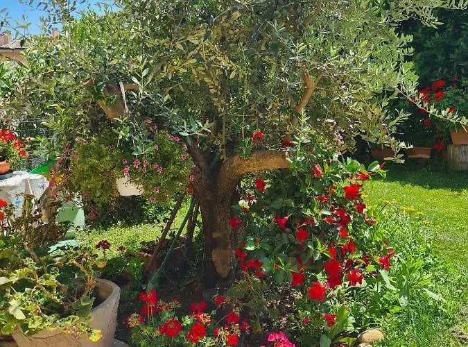 בית אירוח Casa Andre